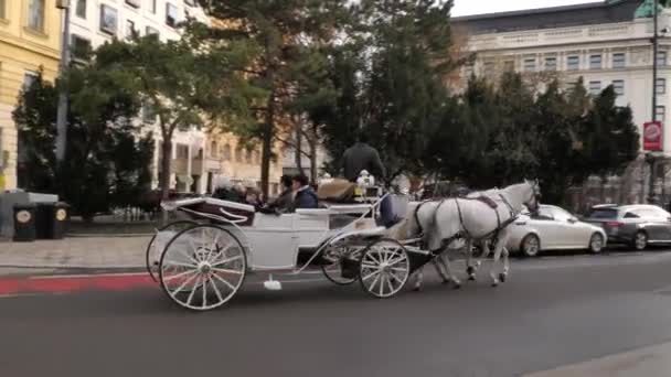 Innenstadt Altstadt mit Geschäften und Restaurants voller Menschen mit Weihnachtsdekoration beleuchtet tagsüber Autos Pferde in Wien Österreich Dezember 2018 — Stockvideo