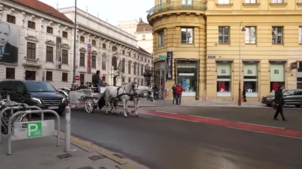 Centro da cidade cidade velha com lojas e restaurantes cheios de pessoas com decorações de Natal ilumina carros cavalos no dia em Viena Áustria dezembro 2018 — Vídeo de Stock