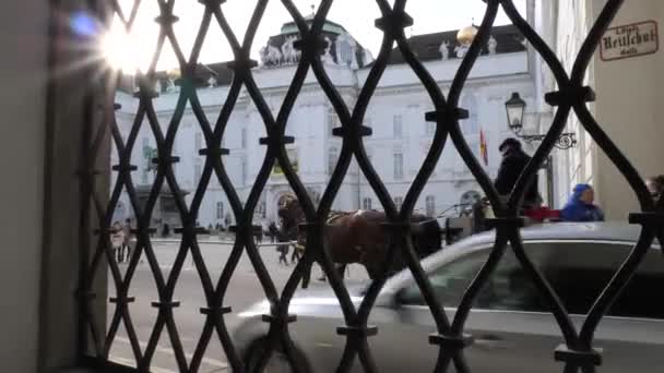 Stadscentrum oude stad met winkels en restaurants vol met mensen met kerstversiering verlicht auto 's paarden overdag in Wenen Oostenrijk december 2018 — Stockvideo
