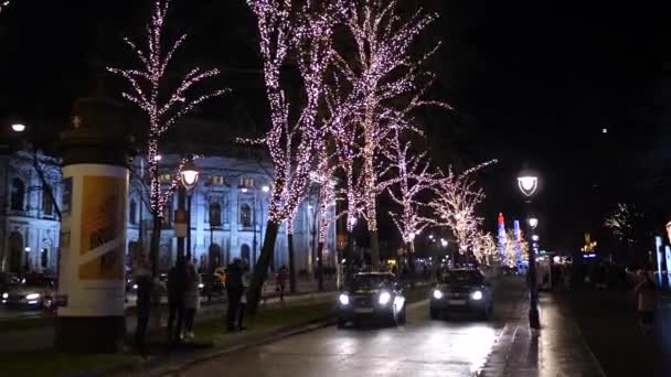 Рождественские украшения Улицы украшены люстрами в старом городе Вена, Австрия, Европа Декабрь 2018 — стоковое видео
