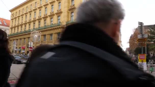 Kerstversiering Shoppings Straten versierd met kroonluchters in oude binnenstad Wenen, Oostenrijk, Europa december 2018 — Stockvideo