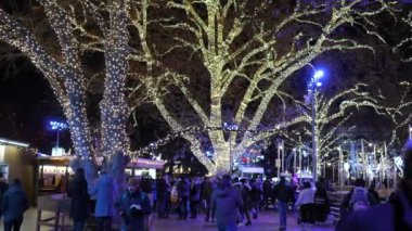 Kışın akşam belediye binası yakınlarındaki Noel pazarı Noel süslemeleri, Noel pazarı Rathausplatz Viyana Avusturya Aralık 2018