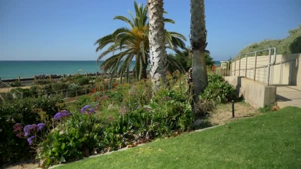 Scenic Beautiful view thru flowers green plants agave aloe vera San Clemente Pier in Linda Lane Park West Coast California sunny day railways road and waves long flat — 비디오
