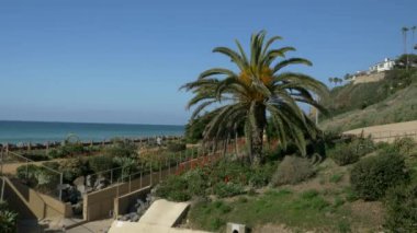 Manzarası güzel çiçekler yeşil bitkiler aloe vera San Clemente Rıhtımı Linda Lane Park Kaliforniya güneşli tren yolu ve düz dalgalar boyunca uzanır