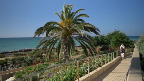 San Clemente California 'daki Linda Lane Parkı' nda beyaz atkıyla yürüyen mutlu bir kadın. — Stok video