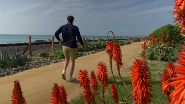 Un chico guapo, joven, un hombre con una camisa azul marino y pantalones cortos está caminando por la costa de California San Clemente Linda Lane park view tru red flowers — Vídeo de stock