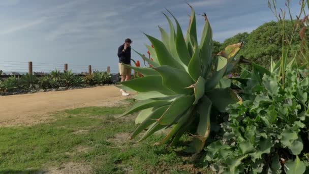 Hezký, mladý muž, muž v námořnické modré košili a šortkách kráčí po kalifornském pobřeží San Clemente Linda Lane Park. Nízký úhel přes zelené rostliny — Stock video