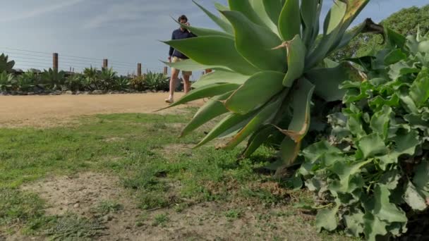 Przystojny, młody facet, mężczyzna w granatowej koszuli i spodenkach spaceruje wzdłuż Kalifornijskiego wybrzeża San Clemente Linda Lane Park. Niski kąt thru zielone rośliny — Wideo stockowe