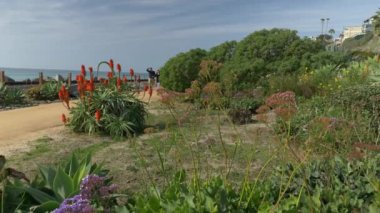 Mutlu Çiftler Güzel Gün 'ün tadını çıkarıyor. Kumsalda el ele tutuşuyorlar. Seyahat Emeklilik Stili Kaliforniya Orange County San Clemente Konsepti