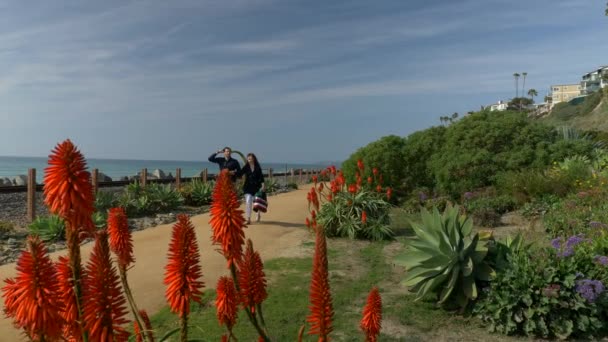 Happy Couple Enjoying Beautiful Day Walking holding hands on the Beach. Travel Vacation Retirement Lifestyle Concept California Orange county San clemente thru red flowers — 비디오