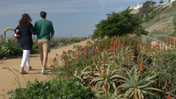 Pareja feliz disfrutando de un hermoso día caminando tomados de la mano en la playa. Retiro de vacaciones de viaje Concepto de estilo de vida California Condado de Orange San clemente — Vídeo de stock