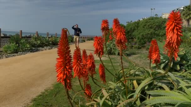 Yakışıklı, genç bir adam, lacivert tişörtlü ve gözlüklü bir adam California sahilinde yürüyor. San Clemente Linda Lane Park manzaralı kırmızı çiçekler. — Stok video