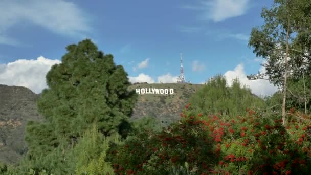 Знаменитый голливудский знак в Лос-Анджелесе, Калифорния через зеленые растения уникальный вид ЛОС-АНДЖЕЛЕС США 23.12.2019 — стоковое видео