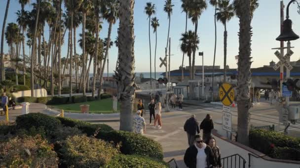 Železnice na pobřeží Kalifornie lidé procházky mezi palmami vedle oceánu Pacifik surfař v San Clemente — Stock video