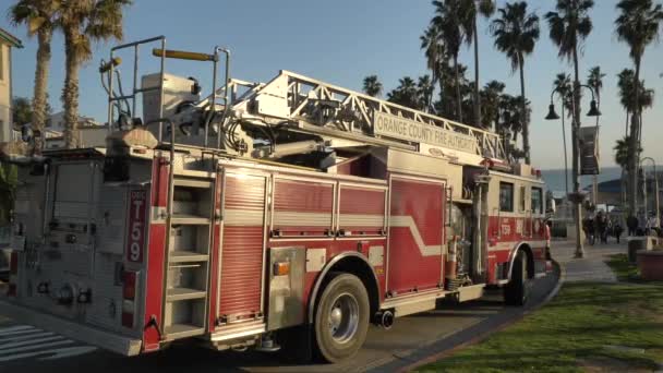 T59 Firetruck parked between palm tree in San Clemente California Orange County 13 January 2020 — стокове відео