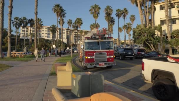 T59 Firetruck parked between palm trees in San Clemente California Orange county 13th January 2020 — Stock Video