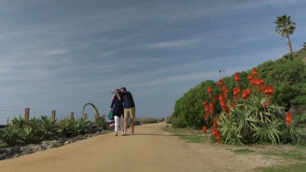 Mutlu Çiftler Güzel Gün 'ün tadını çıkarıyor. Kumsalda el ele tutuşuyorlar. Pasifik Surfliner Demiryollarına yakın Seyahat Emeklilik Stili Kaliforniya Orange County San Clemente — Stok video