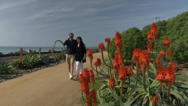 행복 한 부부 가 해변에서 손을 잡고 아름다운 하루를 즐긴다. 미국 캘리포니아 주 오 주 샌클레멘테 (California Orange County San Clemente) 는 미국의 철도 회사이다. — 비디오
