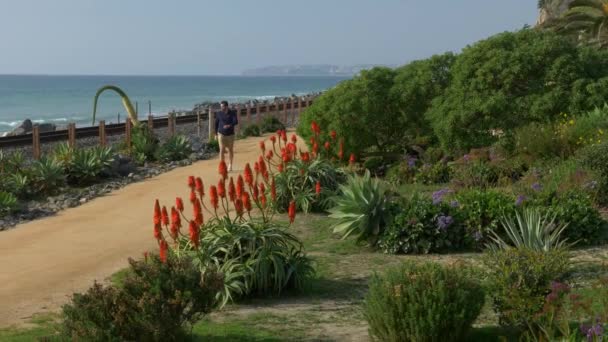 Un joven guapo, un hombre con una camisa azul marino, pantalones cortos y gafas está caminando por la costa de California parque de San Clemente Linda Lane con flores de colores — Vídeos de Stock