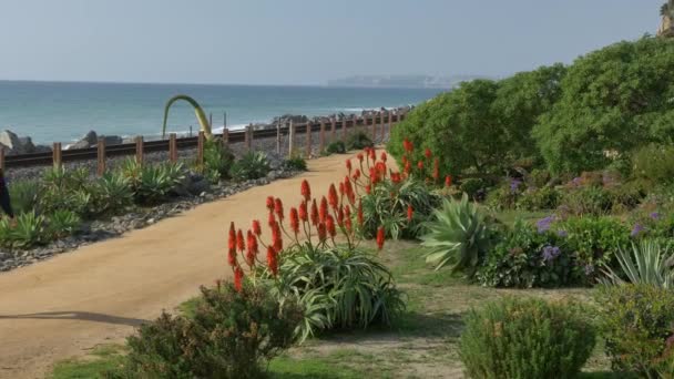 Un joven guapo, un hombre con una camisa azul marino, pantalones cortos y gafas está caminando por la costa de California parque de San Clemente Linda Lane . — Vídeo de stock