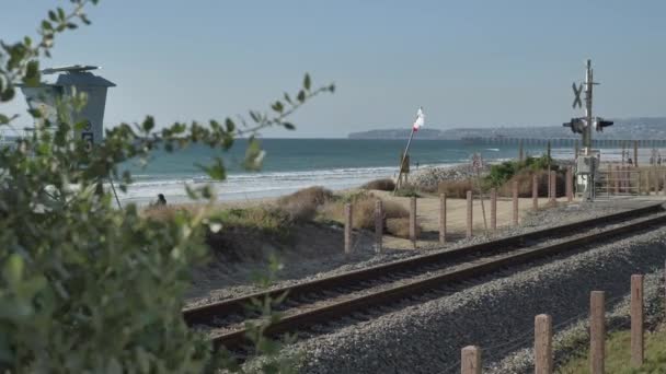 Vue splendide à travers des plantes vertes agave aloe vera Quai San Clemente dans Linda Lane Park Côte ouest de la Californie jour ensoleillé chemin de fer — Video