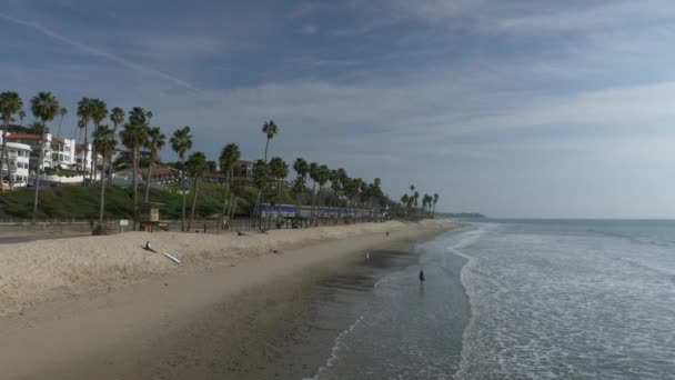 Chemin de fer à la côte californienne train se déplaçant entre les paumes à côté de l'océan Pacifique surfliner à San Clemente — Video