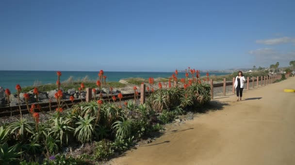 Mulher sênior ativa andando na trilha de pedestres perto do oceano com belas paisagens no dia de verão na praia califórnia san clemente calafia. estilo de vida laranja — Vídeo de Stock