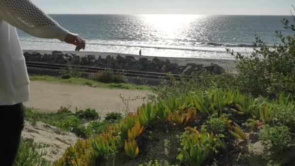 Mujer Senior activa caminando en sendero peatonal cerca del océano con hermosos paisajes en el día de verano en la playa de san clemente calafia de California. estilo de vida del condado naranja — Vídeos de Stock