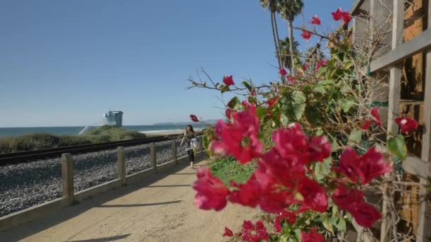 Aktywna seniorka spacerująca pieszym szlakiem blisko oceanu z pięknymi krajobrazami w letni dzień w Kalifornii San Clemente Calafia plaży. Orange County styl życia — Wideo stockowe