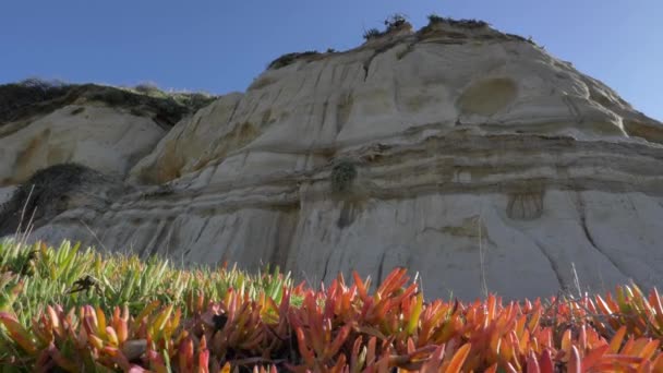 Χαμηλή γωνία Γραφικό τοπίο Θαλάσσια βράχια στην παραλία, San Clemente California calafia παραλία — Αρχείο Βίντεο