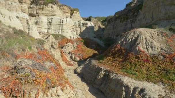 Krajobraz Krajobraz Morski urwiska skalisty kanion piaskowy na plaży, San Clemente California calafia plaża — Wideo stockowe