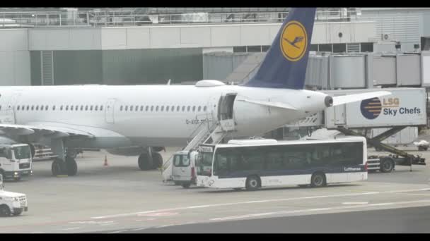 A carregar avião Lufthansa Aeroporto Internacional de Frankfurt 29 Setembro 2019 — Vídeo de Stock