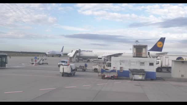 Avión Lufthansa y United, autobús vacío pasando. Aeropuerto Internacional de Fráncfort 29 septiembre 2019 — Vídeos de Stock