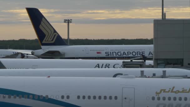 Singapore flygbolag flyttar, air canada, oman flygbolag i bakgrunden Frankfurt internationella flygplats 29 september 2019 — Stockvideo