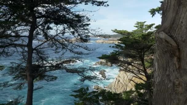 Majestic Big Sur coastline waves crashing on the cliff rocks at Californias Highway 1 scenic drive — Stock Video