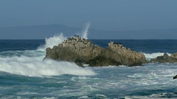 Волны на побережье Биг-Сур обрушились на скалы в Калифорнийском шоссе 1 — стоковое видео