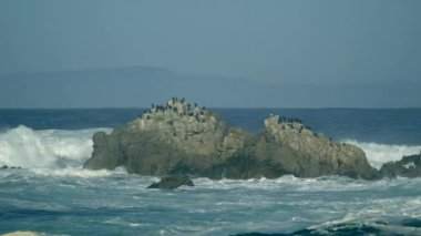 Majestic Big Sur kıyı şeridi dalgaları California Otoyolu 1 'deki kayalıklara çarpıyor.