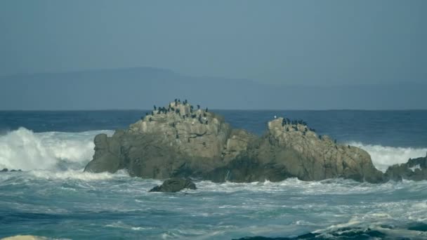 Majestätisk Big Sur kust vågor kraschar på klippan stenar på Californias Highway 1 natursköna enhet — Stockvideo