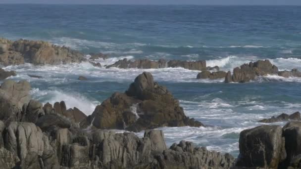 Majestueuze Big Sur kustlijn golven crashen op de klif rotsen bij Californias Highway 1 schilderachtige rit — Stockvideo