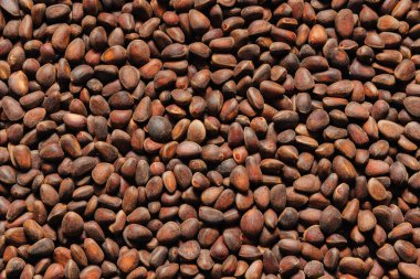 Çam fıstığı. Duvar kağıdı için desenli arkaplan.