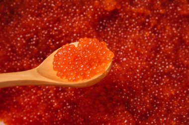 Tahta kaşıkta kırmızı havyar.