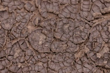 Dünya kuraklık nedeniyle çatladı. Arazi parçaları çatlaklara bölünmüş. Duvar kağıdı için desenli soyut arkaplan.
