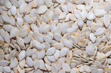 Beyaz kabuklu taze kabak tohumları. Bir şablon biçiminde duvar kağıdı için arkaplan.