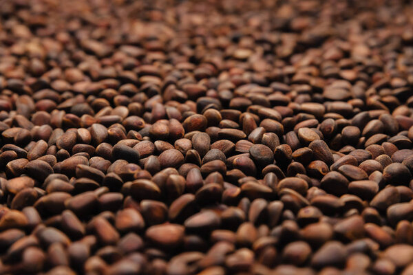 Pine nuts. Textured background for wallpaper.
