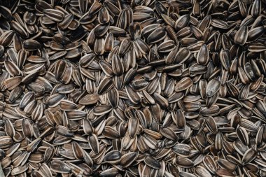 Çizgili siyah ve beyaz ayçiçeği tohumları.