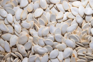 Beyaz kabuklu taze kabak tohumları. Bir şablon biçiminde duvar kağıdı için arkaplan.