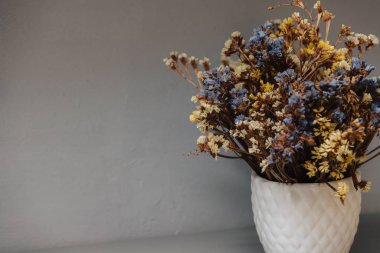 Kurumuş kır çiçekleri. Beyaz bir vazoda bir sürü küçük mavi ve sarı çiçek var. Gri arka planda bir buket.