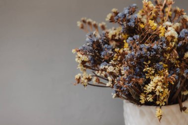 Kurumuş kır çiçekleri. Beyaz bir vazoda bir sürü küçük mavi ve sarı çiçek var. Gri arka planda bir buket.