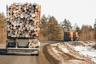 Rear view of trucks that transport logs on a winter road. clipart