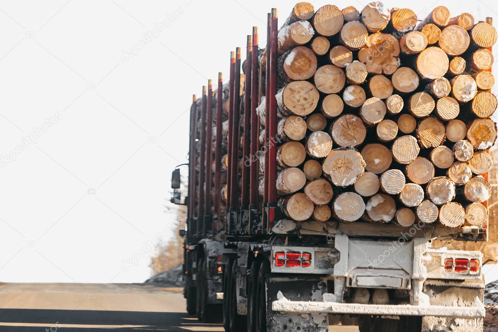 Rear view of trucks that transport logs on a winter road.
